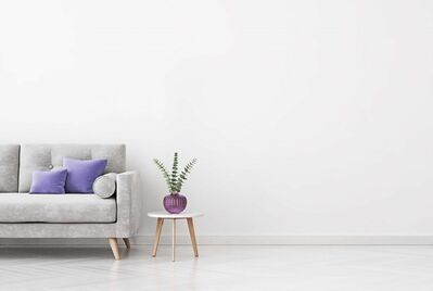 Sofa and plant